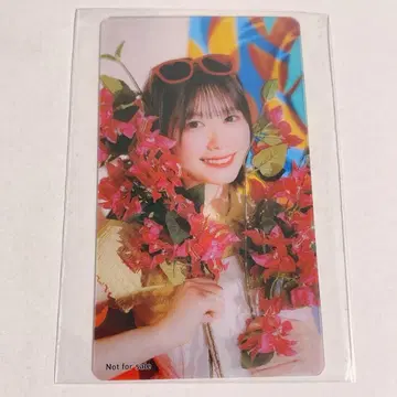 니부 아카리 히나타 히나타카 46