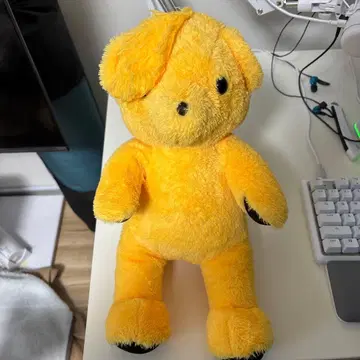 ONEPIECE bear 상디