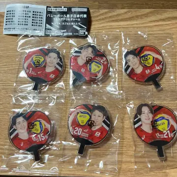 배구 남자 일본 대표 팬 미니 부채 6개 세트