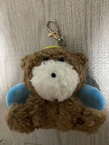 토시쿠마 카토 시호