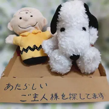 2타입 세트 찰리 브라운 SNOOPY 봉제 인형 FWUT 적용 사이즈