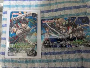 e-amusement pass [엘드라 크라운] 2종 세트