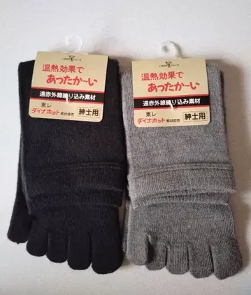 다이나호트 토레이 5본 손가락 양말 2족 세트 일본제