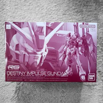 RG 데스티니 임펄스
