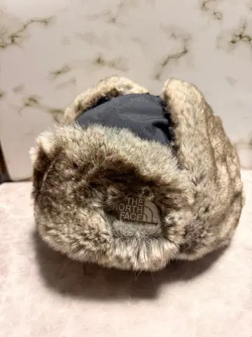 THE NORTH FACE 플라이트 캡 그레이 계열