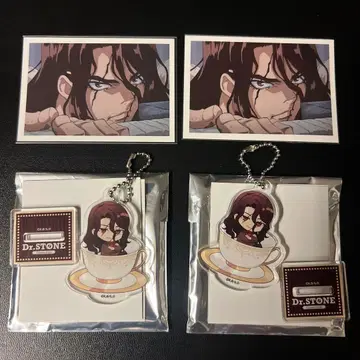 AMOCAFE Dr.STONE 아크릴 스탠드 키링 카드 사자왕 사