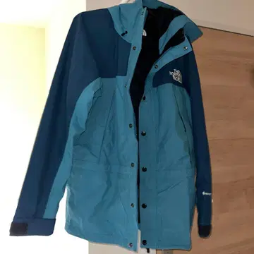 THE NORTH FACE 마운틴 후드티