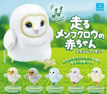 달리는 가면올빼미 아기 전 6종 컴프 퀄리아