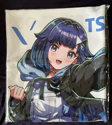 브이스포! 페스티벌 2025 리버서블 크로스 츠무기 코카게