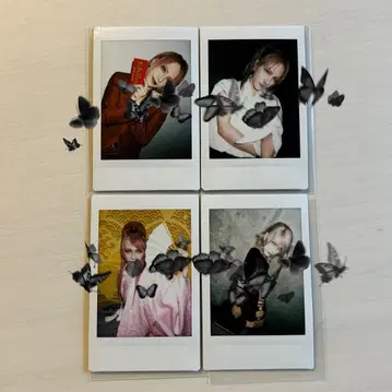 JILUKA SENA 폴라로이드 세트