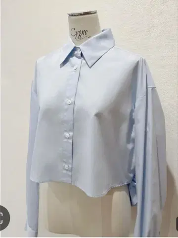 cygne 시뉴 스카이블루 프릴 크롭 셔츠