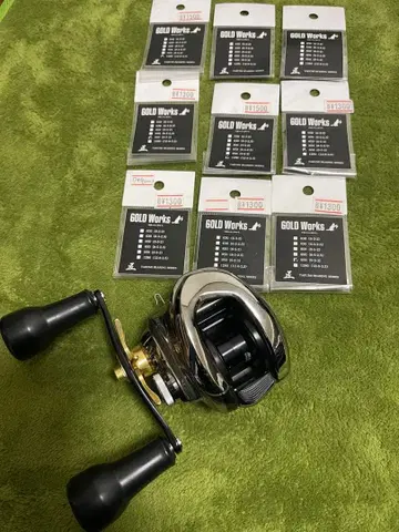 21 안타레스 DC HG 골드 웍스 베어링 풀 커스텀