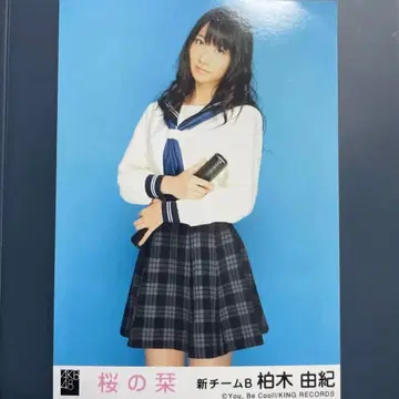 즉시 구매 카시와기 유키 브로마이드 벚꽃 책갈피 극장반 AKB48