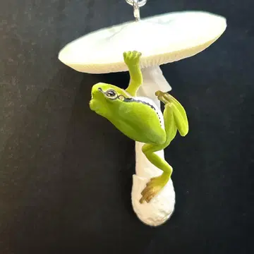 네이처 테크니컬러 생물 버섯과 청개구리 볼체인 독버섯