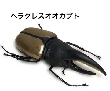 헤라클레스 장수풍뎅이 곤충 피규어 특대형 빅 사이즈