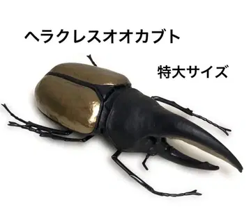 헤라클레스 장수풍뎅이 곤충 피규어 특대형 빅 사이즈