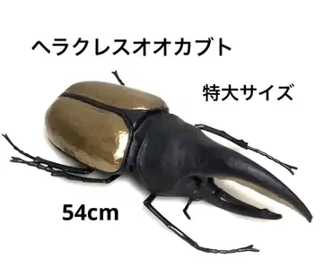 헤라클레스 장수풍뎅이 곤충 피규어 특대형 빅 사이즈 54cm 완구