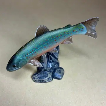 원색 담수어 도감 I 개정판 시크릿 미야베 송어