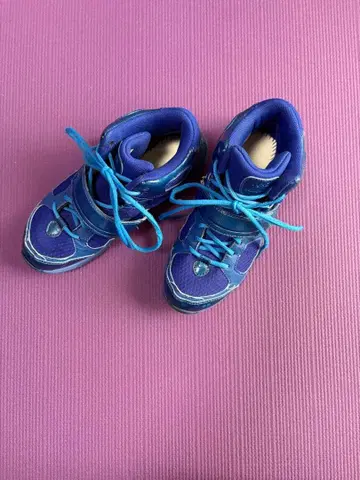 라이카 파란색 하이컷 스니커즈