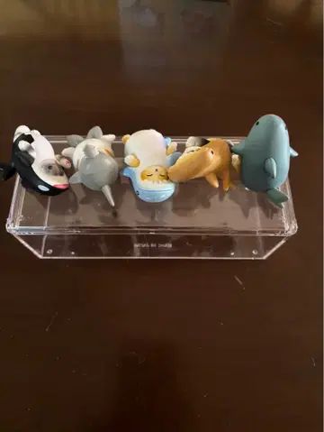 바다 생물 캡슐 토이 5종 세트 풀 컴플리트