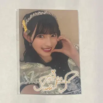 스다 아키 사진