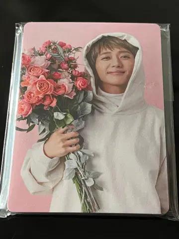 Nissy 달력 계속 혜택 트레이딩 카드 12장입