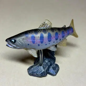 원색 담수어 도감 I 초판 시크릿 아마고 채색 받침대