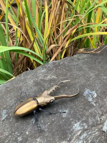 초정밀 골드 컬러 사슴벌레 피규어