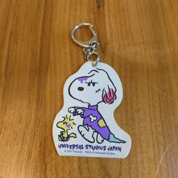 USJ 유니버셜 할로윈 2021 스누피 가죽 트리티