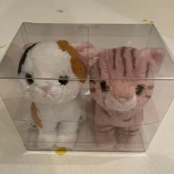 고양이 봉제 인형