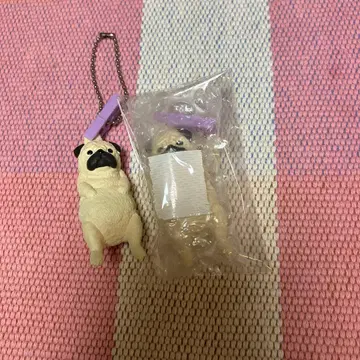 세탁 날씨 2 퍼그