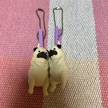 세탁 날씨 2 퍼그