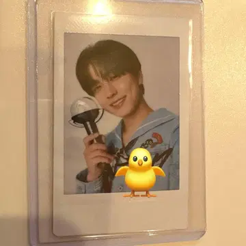 &TEAM TAKI 월파 친필 사인 폴라로이드