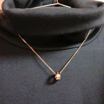 다니엘 웰링턴 DW 목걸이