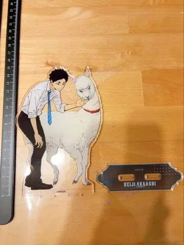 하이큐 아카아시 케이지 아크릴 스탠드