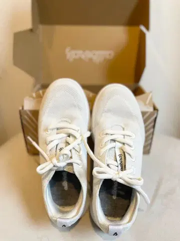 Allbirds 트리 러너 고 남성용 25.5