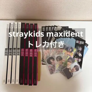 straykids 스키즈 maxident 앨범 트레이딩 카드