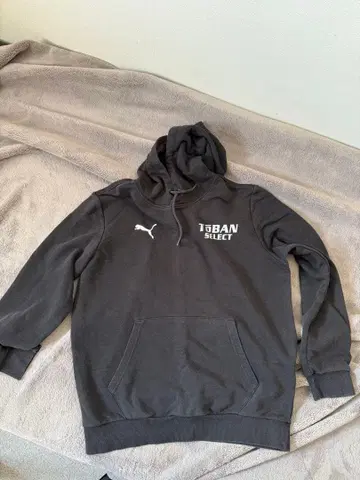 PUMA 그레이 후드 부착 후드티 L