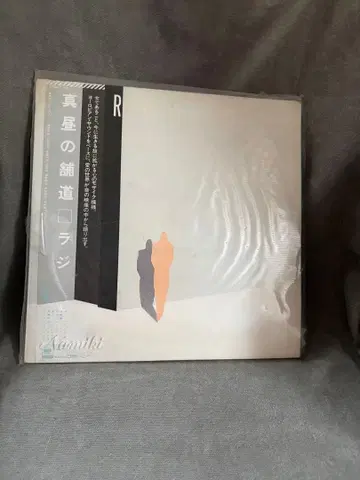 진별의 포장도로 라지 LP 레코드