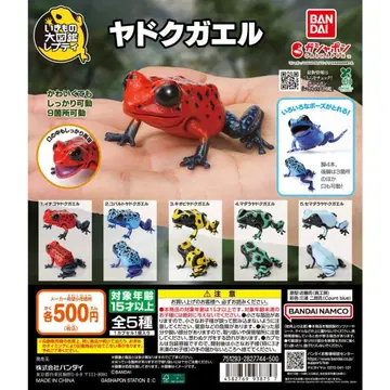 생물대도감 쁘띠 야독개구리 전 5종