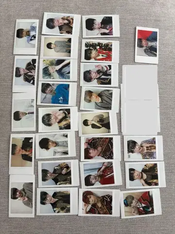 팬더 드래곤 폴라로이드