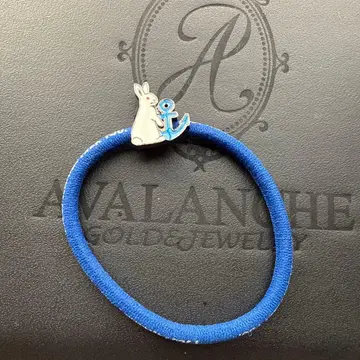 FR2 항구 머리끈