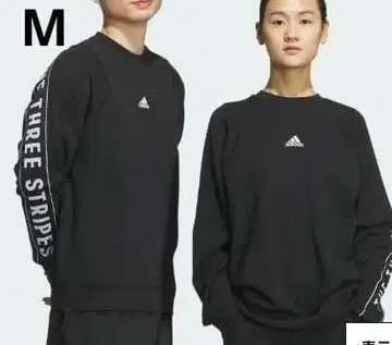 adidas 맨투맨 트레이닝복 M 사이즈 JG8590