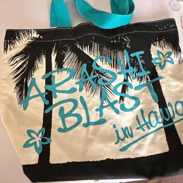 아라시 ARASHI BLAST in Hawaii 투어 백