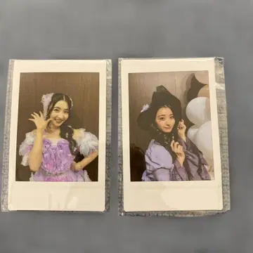 안 쥬리아 폴라로이드