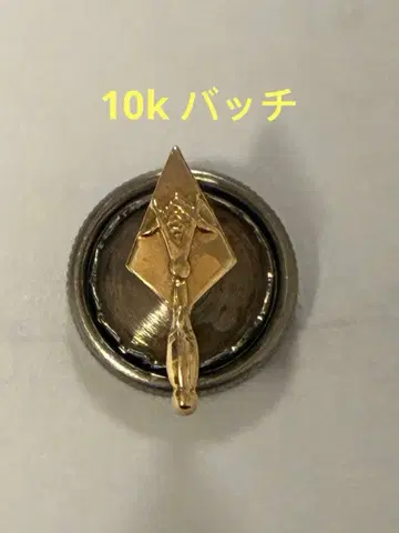 10k 배치 빈티지