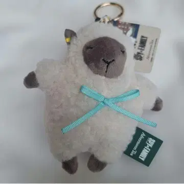 SPY x FAMILY 양 Afternoon Tea 콜라보