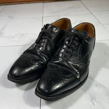 REGAL worth collection 윙팁 JJ74 25.5