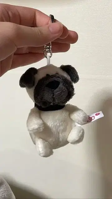 퍼그 봉제 인형 키링