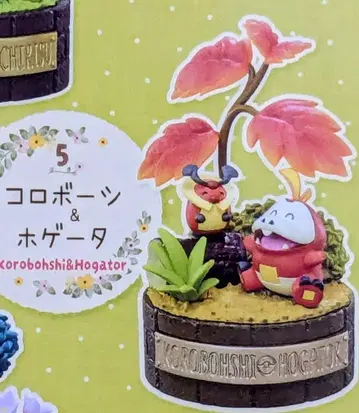 포켓몬 숲의 작은 이야기 시리즈 콜로보시 뜨아거